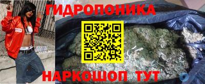 крисы Канаш